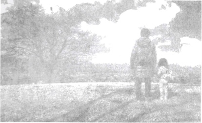 「丘からの眺め」