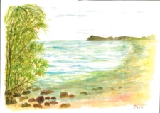 心のふるさと　奄美の浜