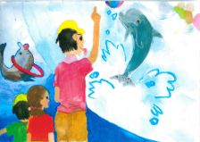 海の生き物たちのショータイム