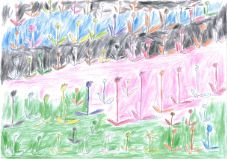 大好きなチューリップ