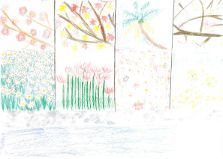 四季を楽しめる川原