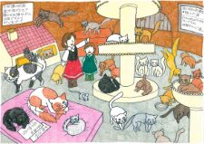 癒やしの猫カフェ