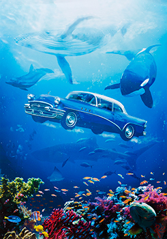 「いっしょに泳ごう」